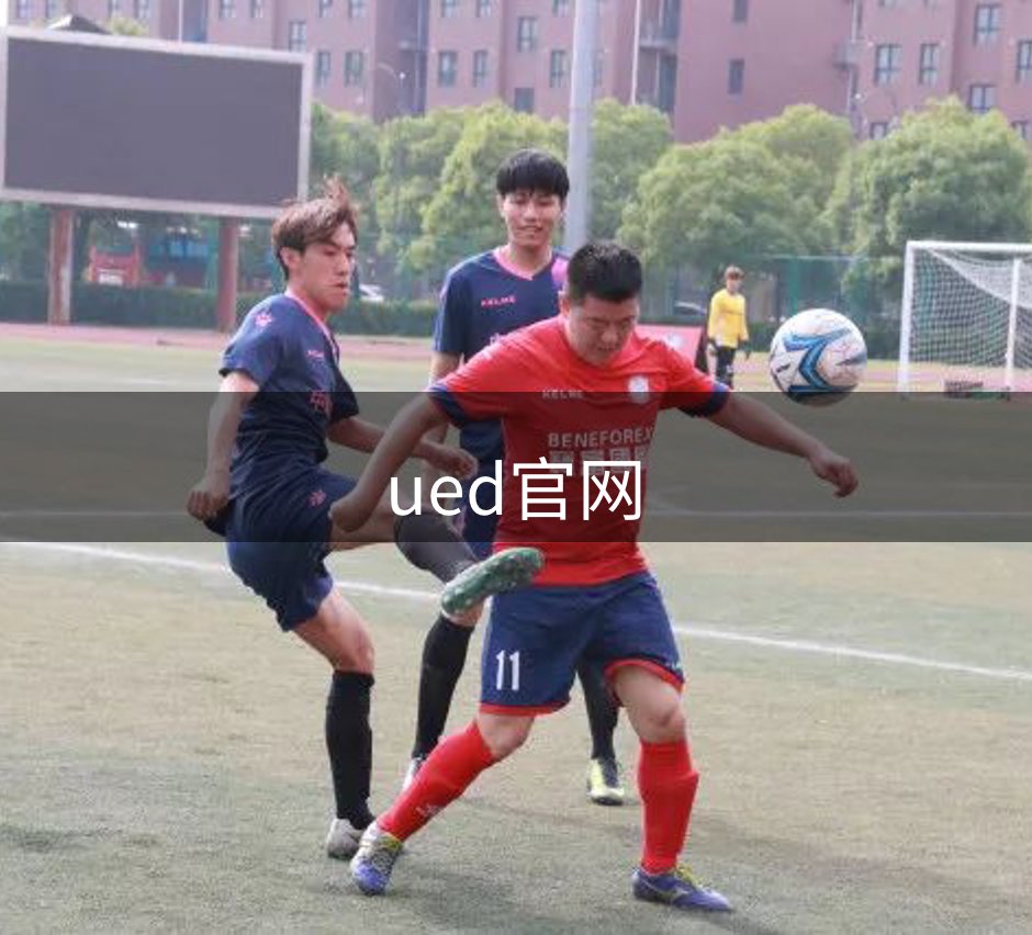 了解ued官网
